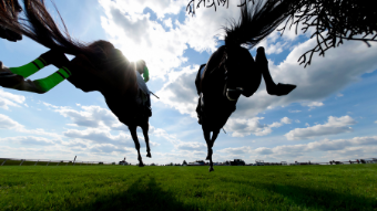 Horses