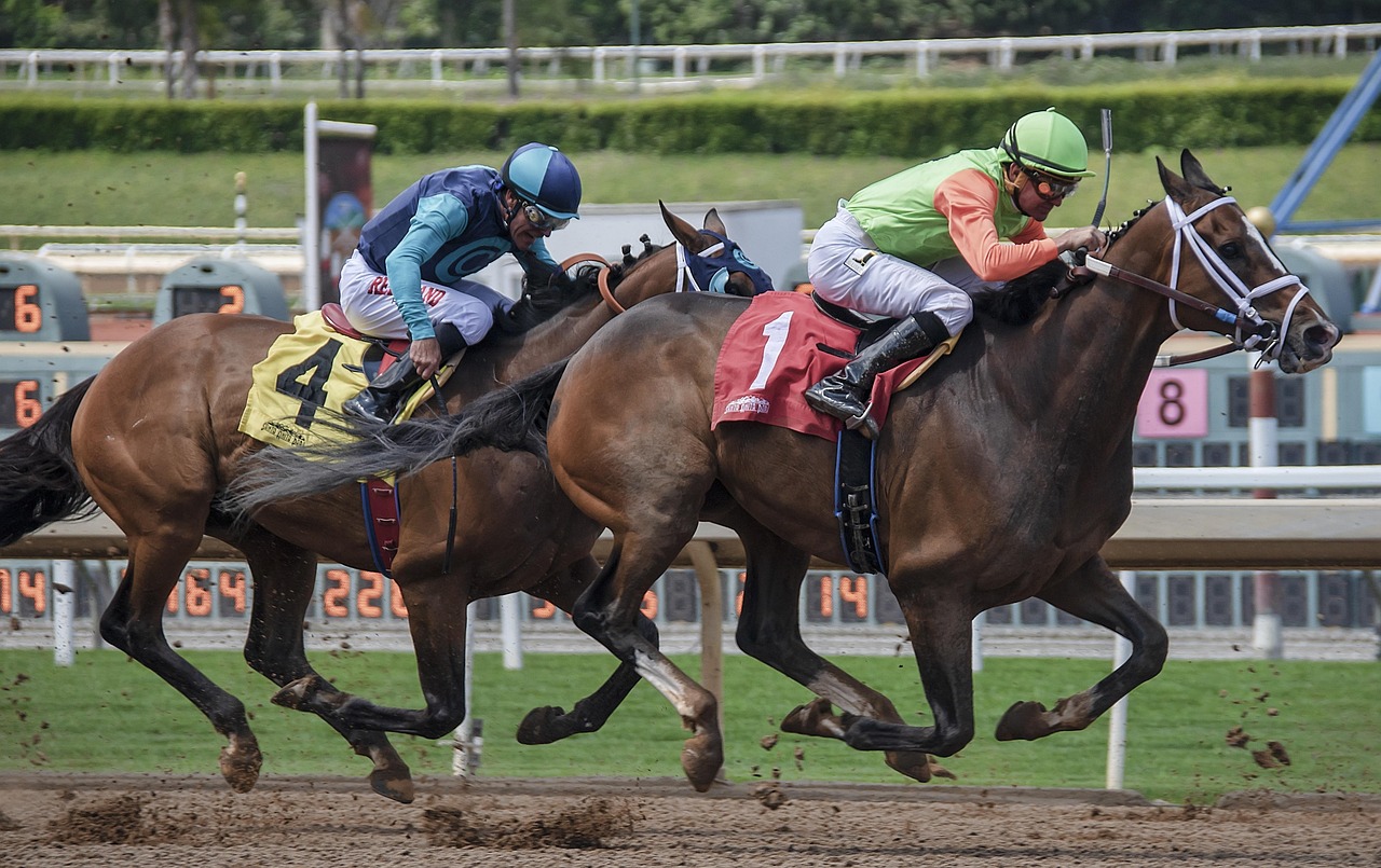 The History and Future of Sports Betting Globally - Image