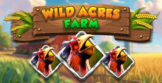 The Mathematical Meadow: A Technical Deep-Dive into Wild Acres Farm’s Payout Engine - Image